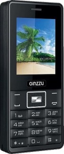 Мобильный телефон Ginzzu R4 Dual Black