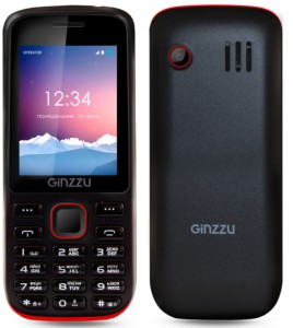 Мобильный телефон Ginzzu M201 Black red