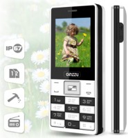 Мобильный телефон Ginzzu R4 Dual White