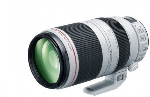 Объектив Canon EF 100-400mm 4.5-5.6L IS II USM