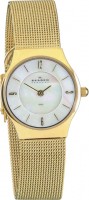 Женские часы Skagen 233XSGG