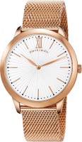 Мужские часы Pierre Cardin PC105311F10