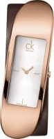 Женские часы Calvin Klein K3C236.G6
