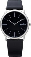 Мужские часы Skagen 858XLSLB