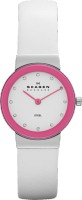 Женские часы Skagen SKW2016