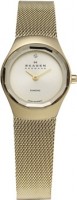 Женские часы Skagen 432SGSG
