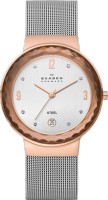 Женские часы Skagen 456LRS