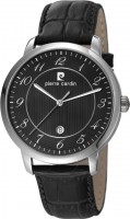 Мужские часы Pierre Cardin PC106311F01