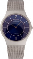 Мужские часы Skagen 233LTTN
