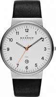 Мужские часы Skagen SKW6024