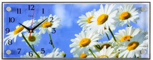 Настенные часы 21 Век 5020-685