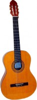 Акустическая гитара Eurofon GSC-11
