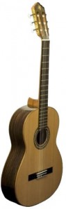 Акустическая гитара Prudencio Saez Classical Initiation Model 12