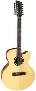 Акустическая гитара VGS B-40-12 CE Bayou VG500540