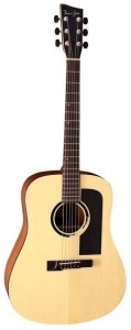 Акустическая гитара VGS B-10 Bayou VG500500