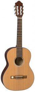 Акустическая гитара Pro Natura Bronze Cailea 500184