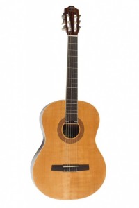Акустическая гитара Virginia V-C17