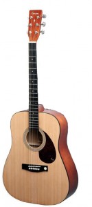 Акустическая гитара Tenson Player Pack D-1 F502210