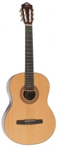 Акустическая гитара Virginia V-C08
