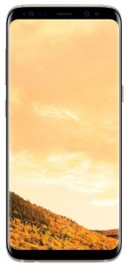 Смартфон Samsung Galaxy S8 SM-G950FD 64Gb Gold