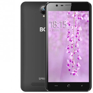 Смартфон BQ S-5590 Spring Black